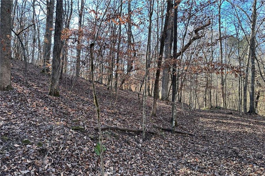 Natural landscape and outdoor views near  in Cumming (Image 13).