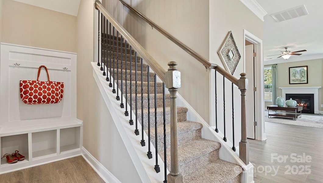 Photos are representative