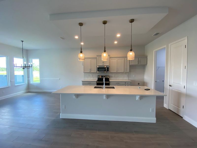 Representative furnished interior of a home built from the Birkdale by Paytas Homes in The Reserve at Victoria, Deland (Image 39).