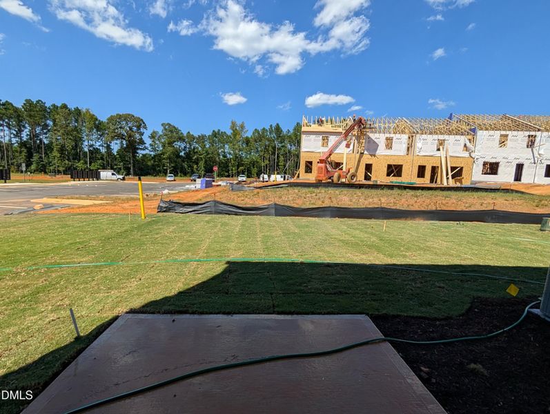 PXL_20250829_190916988 PXL_20250829_190916988