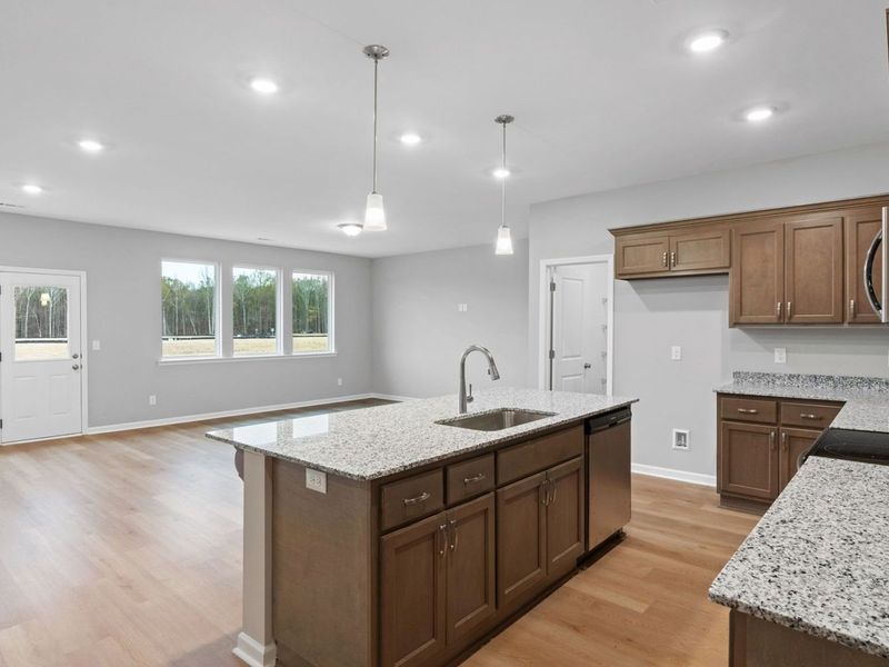 Representative furnished interior of a home built from the The Luna by Davidson Homes LLC in Ivy Glen, Perry (Image 6).