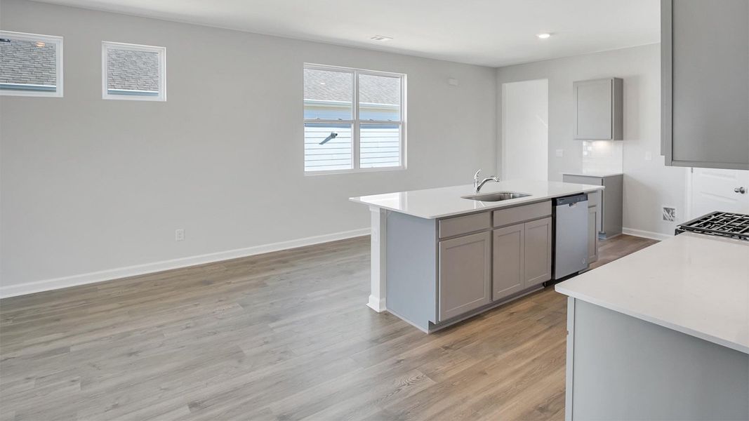 Image 35 representing the DESMOND by D.R. Horton in Nexus South, Gallatin, TN.