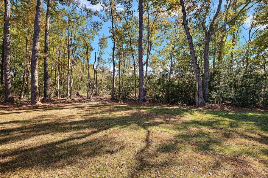 Natural landscape and outdoor views near  in Hanahan (Image 32).