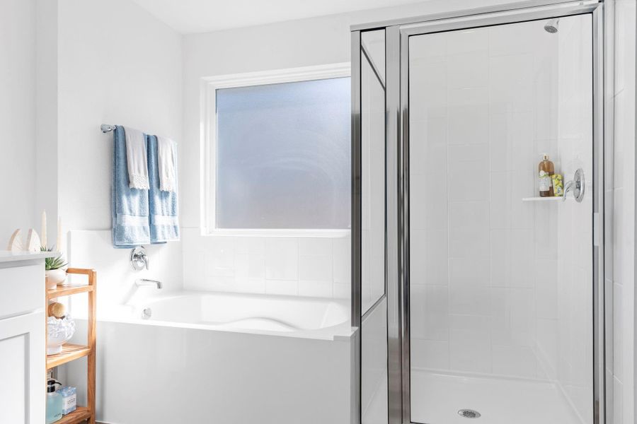 Furnished interior view inside a new home in , Iowa Colony (Image 33).