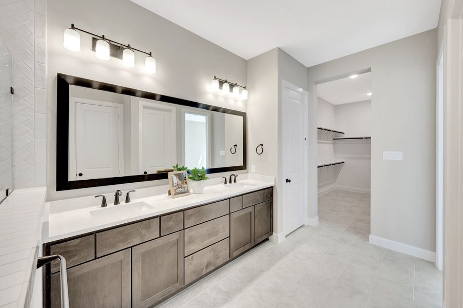 Owner's Bath
