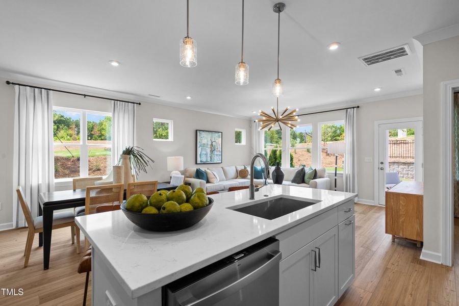 Tredenham 66_Kitchen 3_Model_7.8.24_webr