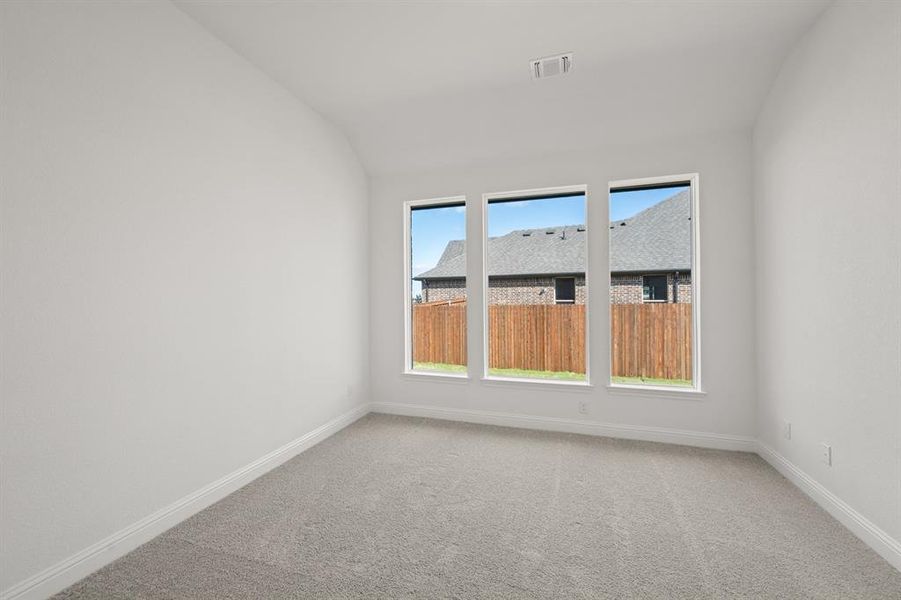 220 Pine Leaf- Study-1 220 Pine Leaf- Study-1