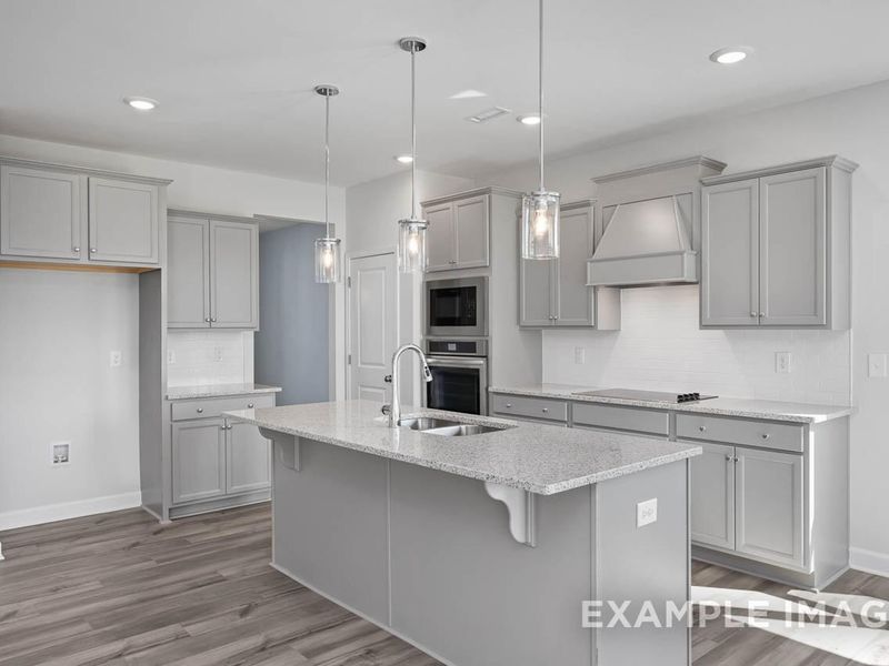Furnished interior view inside a new home in Tobacco Road, Angier (Image 6). Furnished interior view inside a new home in Tobacco Road, Angier (Image 6).