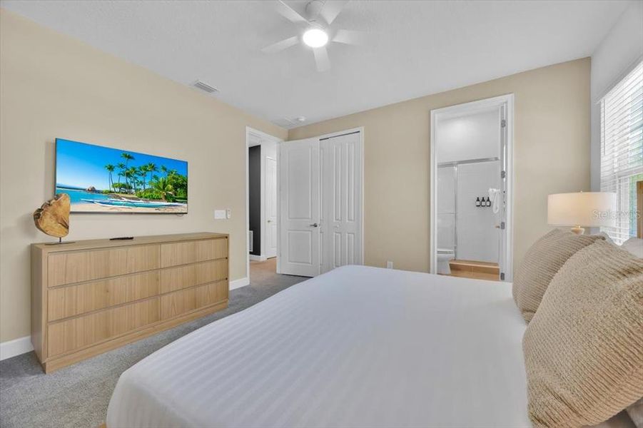 Furnished interior view inside a new home in , Reunion (Image 25).