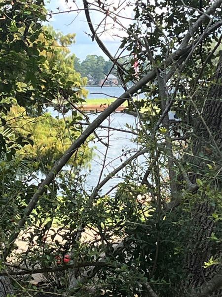 Natural landscape and outdoor views near  in Conroe (Image 13).