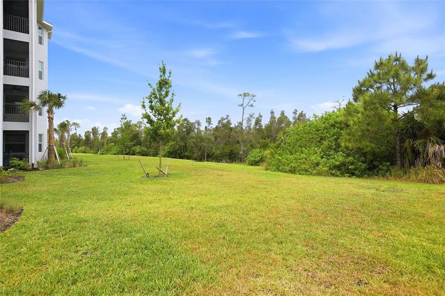 Natural landscape and outdoor views near  in Punta Gorda (Image 42).
