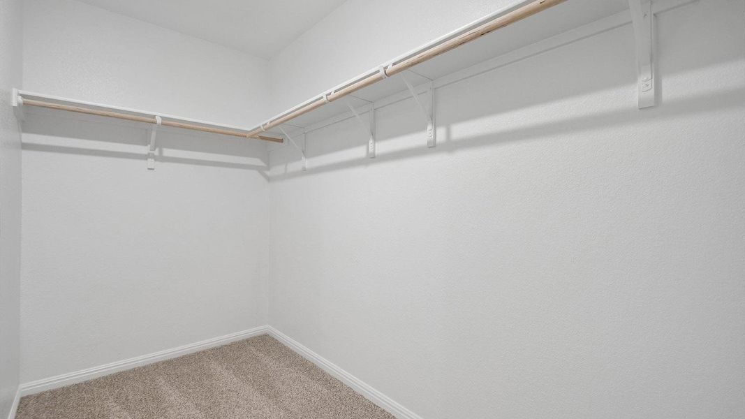 Spacious, unfurnished interior of a new home in Southgrove, Kyle (Image 29). Spacious, unfurnished interior of a new home in Southgrove, Kyle (Image 29).