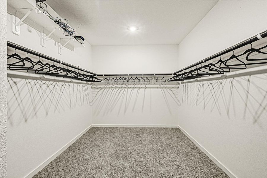 Spacious, unfurnished interior of a new home in Emberly, Beasley (Image 18).