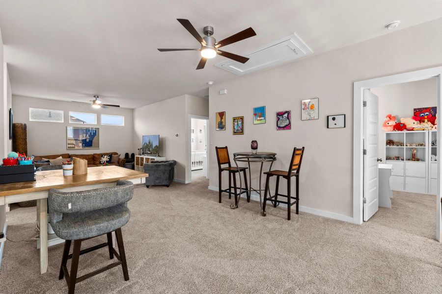 Expansive open-concept room featuring neutral-toned carpeting, two ceiling fans with integrated lighting, and multiple windows providing natural illumination