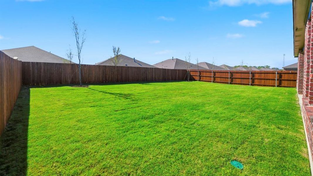 Fenced backyard with a residential view Fenced backyard with a residential view