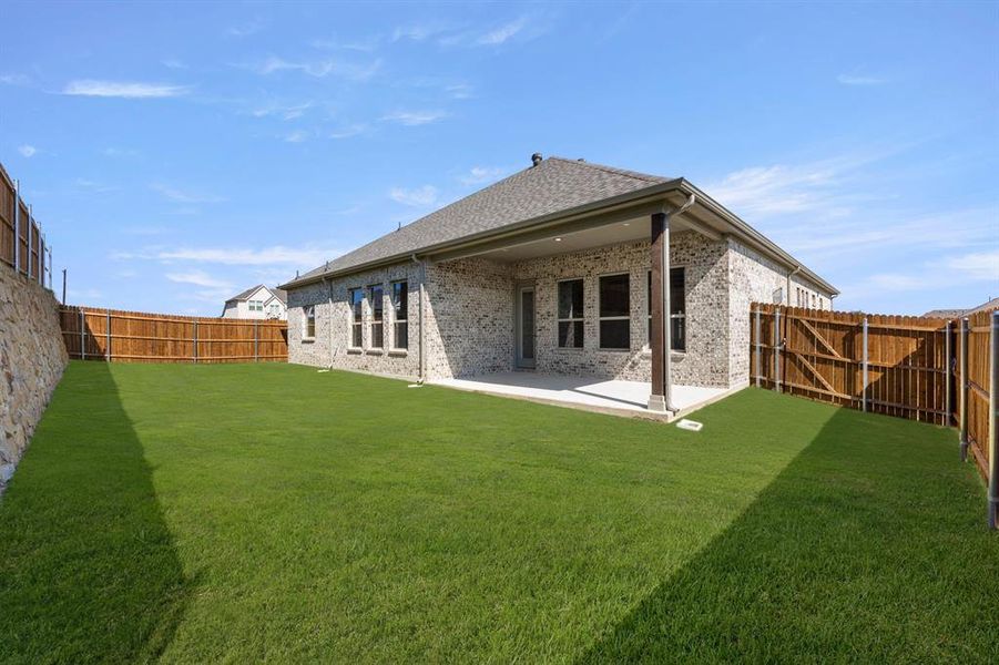 8904 Amistad-Back-1 8904 Amistad-Back-1