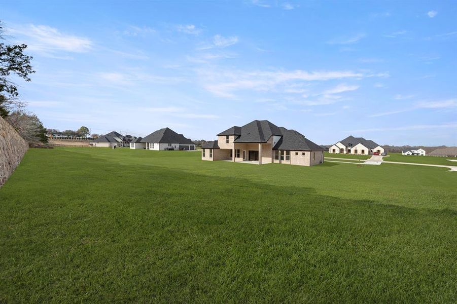 27. 405 Wood Duck - Back (2)