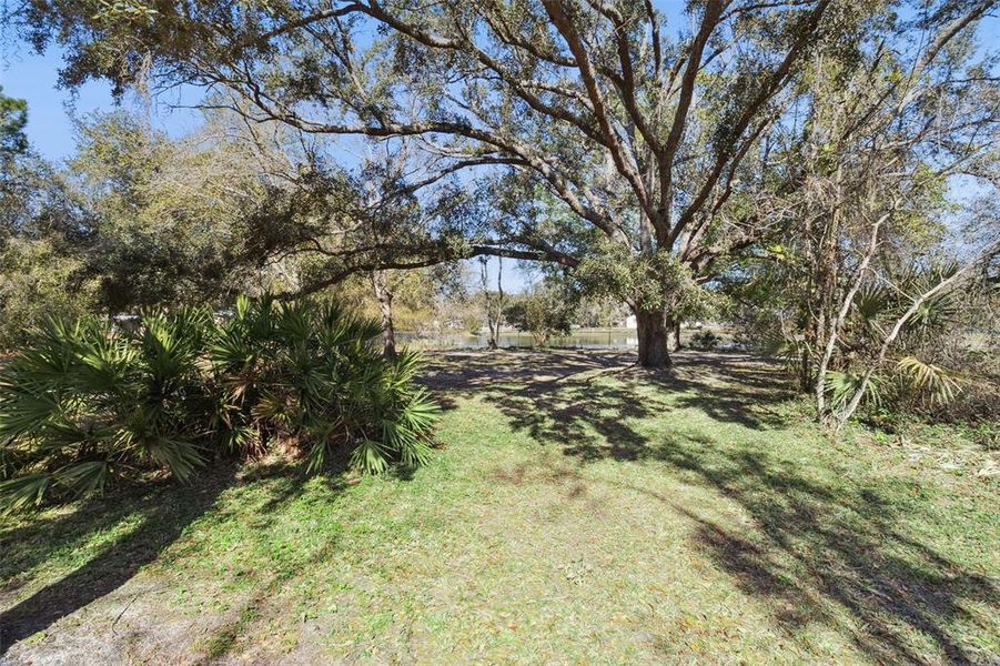 Natural landscape and outdoor views near in Yeehaw Junction (Image 42). Natural landscape and outdoor views near in Yeehaw Junction (Image 42).