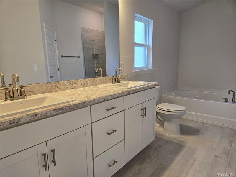 Furnished interior view inside a new home in Wyld Palms, Inverness (Image 6).