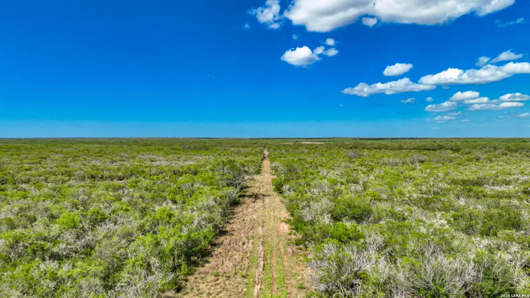 Natural landscape and outdoor views near  in Alice (Image 33).