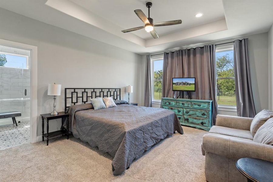 Bedroom with multiple windows, a tray ceiling, and ceiling fan