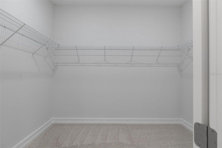 Spacious, unfurnished interior of a new home in Pine Ridge Estates, Beverly Hills (Image 28).