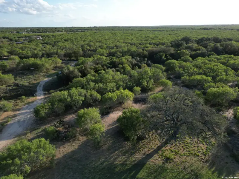 Natural landscape and outdoor views near  in Bigfoot (Image 27).