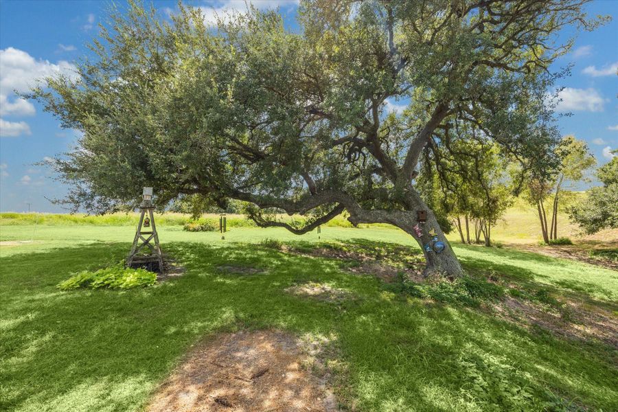 Natural landscape and outdoor views near  in Brenham (Image 15).