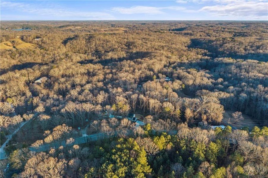 Natural landscape and outdoor views near  in Gainesville (Image 60).