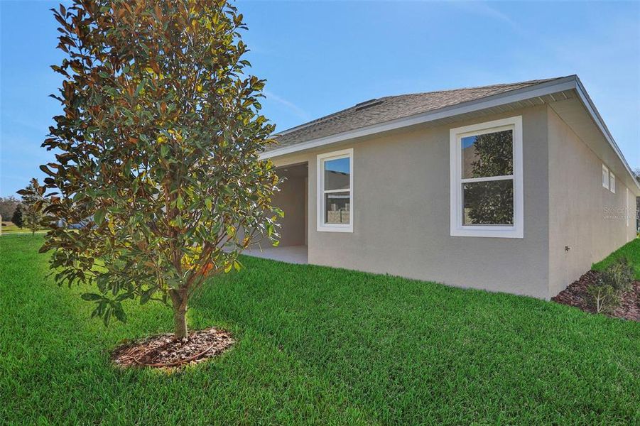 Exterior details and patio area of a home in Angeline, Land O' Lakes (Image 4).
