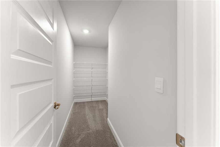Spacious, unfurnished interior of a new home in Thunder Ridge, Dawsonville (Image 21).