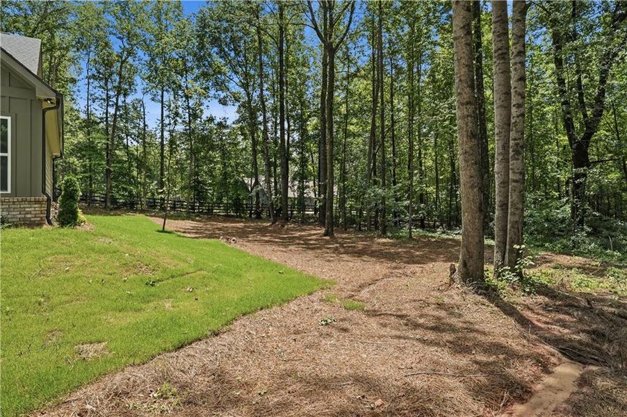 Natural landscape and outdoor views near in Pendergrass (Image 69). Natural landscape and outdoor views near in Pendergrass (Image 69).