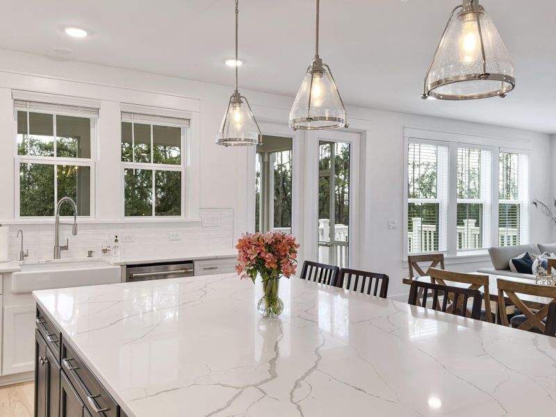 Furnished interior view inside a new home in Liberty Hill Farm, Mount Pleasant (Image 37).