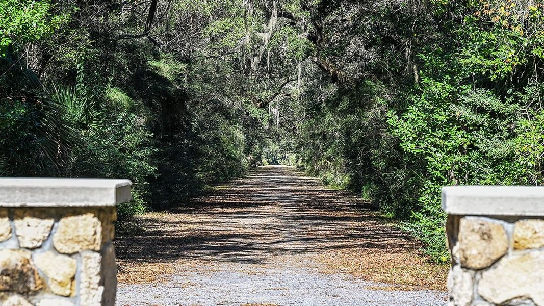 Natural landscape and outdoor views near Colbert Landings in Palm Coast (Image 93).