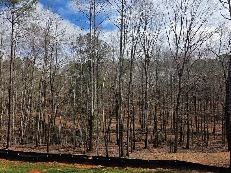 Natural landscape and outdoor views near Benson Estates in Dallas (Image 28).