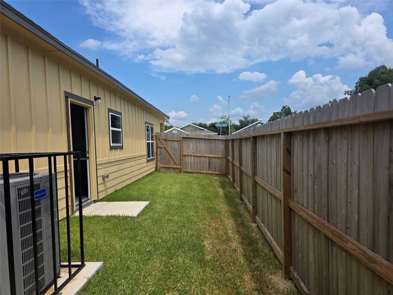 Backyard