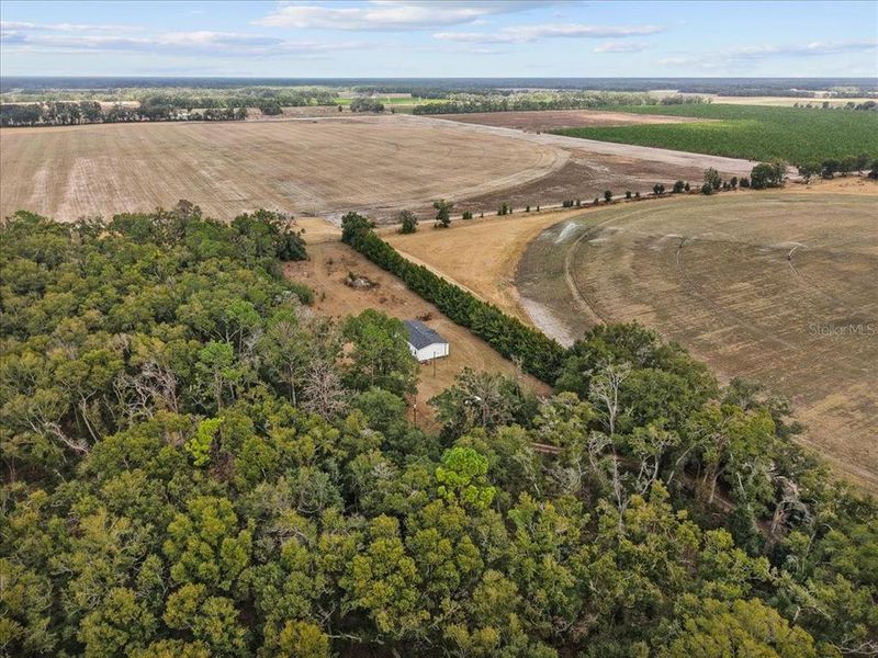 Site preparation for new homesites in , Bell (Image 14).