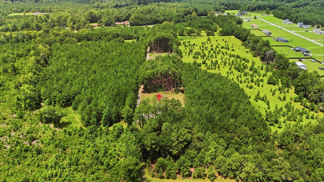 Natural landscape and outdoor views near in Cross (Image 35). Natural landscape and outdoor views near in Cross (Image 35).