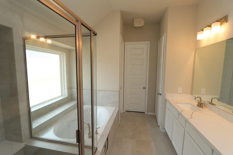 Owner's bath - still under construction!