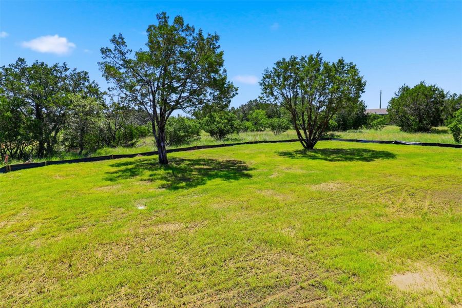 Expansive green space featuring scattered mature trees and natural landscaping Expansive green space featuring scattered mature trees and natural landscaping