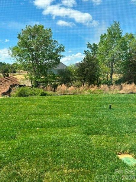 Natural landscape and outdoor views near The Courtyards at Hodges Farm in Charlotte (Image 19).