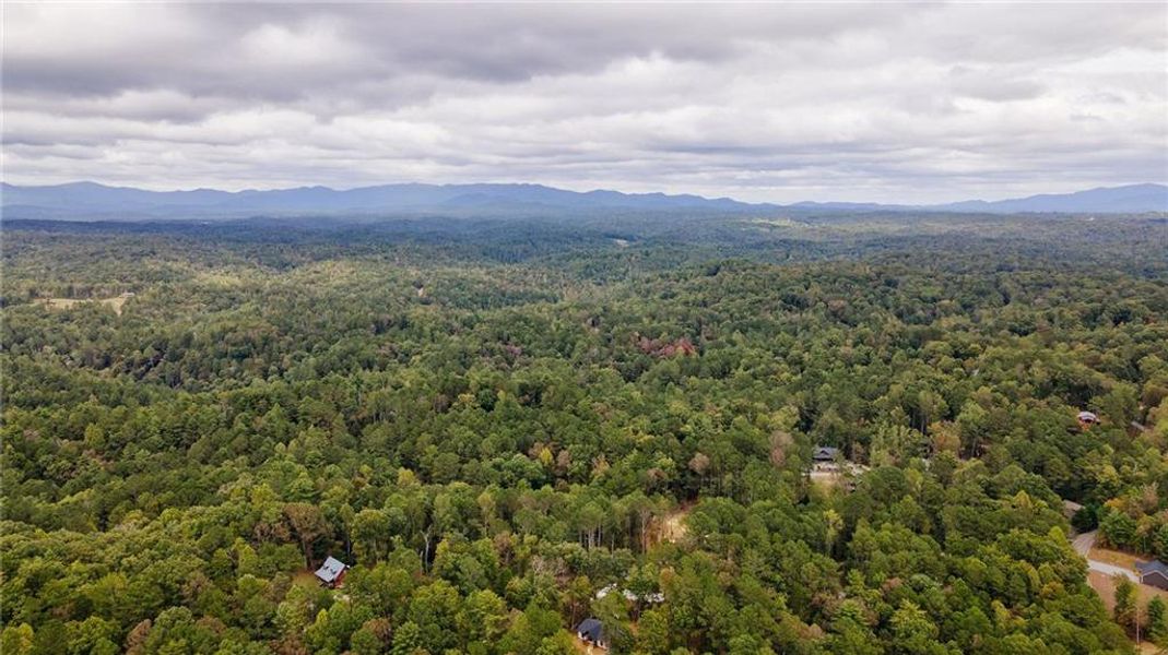 Natural landscape and outdoor views near  in Ellijay (Image 47).