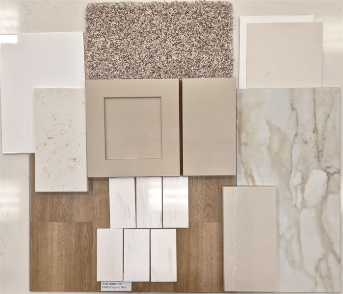 Final Interior Selections for 1455 CR 605