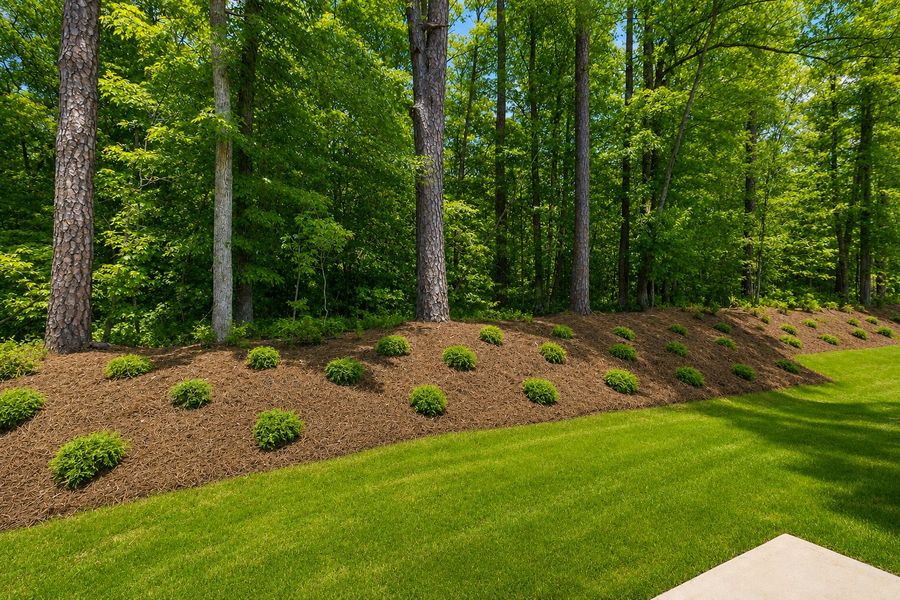 Outdoor and nature views near homes built from the The Ellery by RobuckHomes in Baylee Ridge, Selma (Image 61).