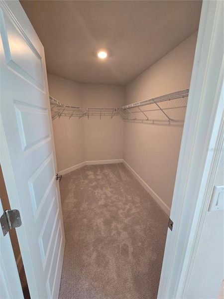 Spacious, unfurnished interior of a new home in Wyld Palms, Inverness (Image 12).