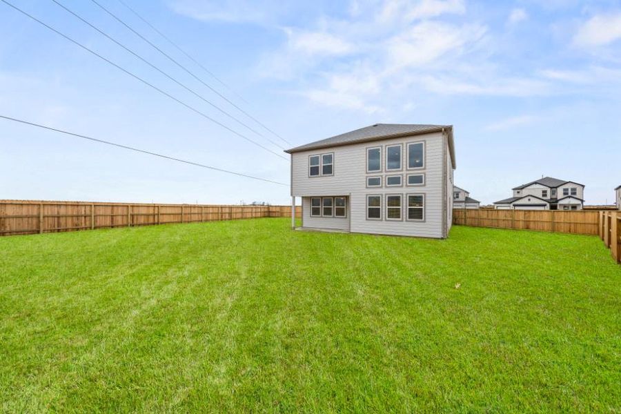 Hugh Backyard Hugh Backyard