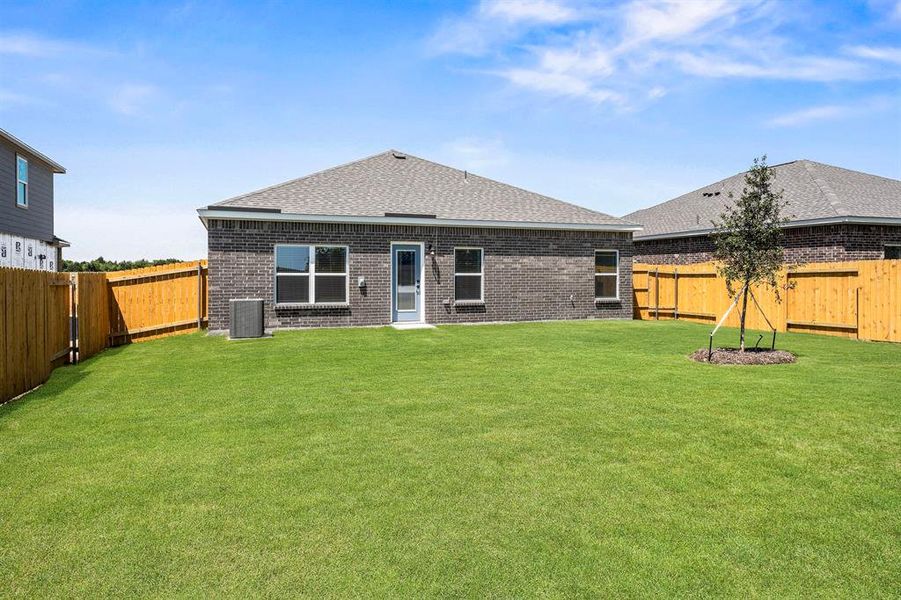 Fenced Backyard Fenced Backyard