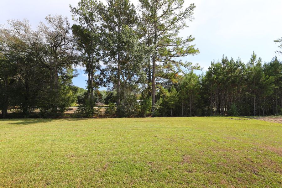 Natural landscape and outdoor views near Hainer Place in Conway (Image 28).