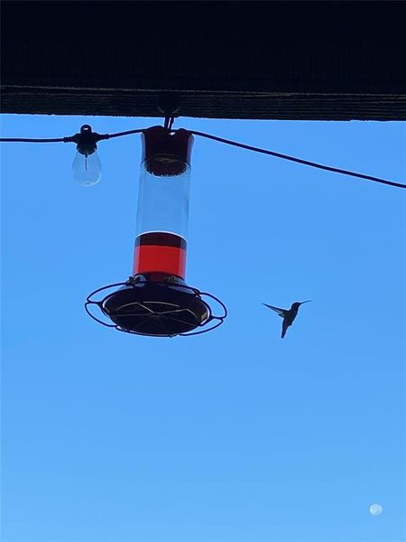 Such a peaceful place...