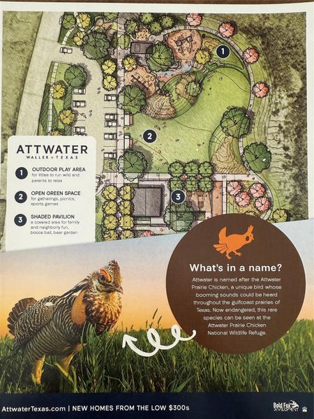 Image 33 of a home in Attwater. Image 33 of a home in Attwater.